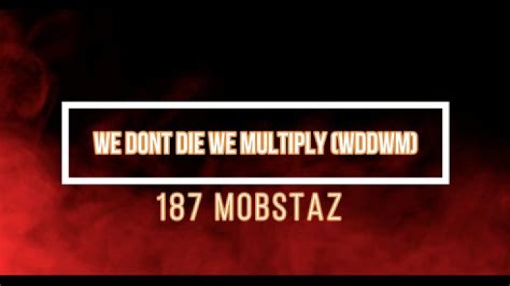 187 we dont die with multiply lyrics