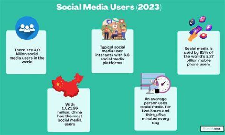 4. Social Media Users