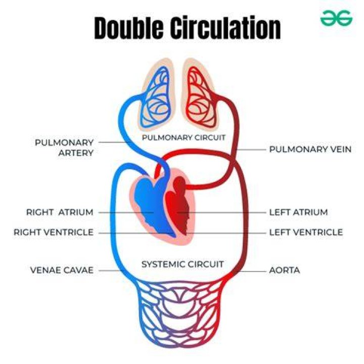 7. How Circulation of the Video Affected Public Perception and Understanding of King Von