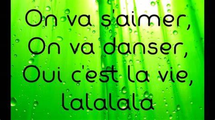 C`est la vie lyrics