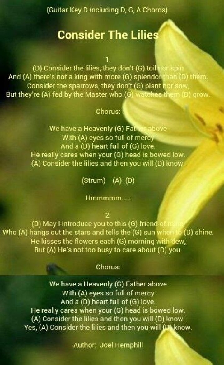 Conisider the lilies lyrics