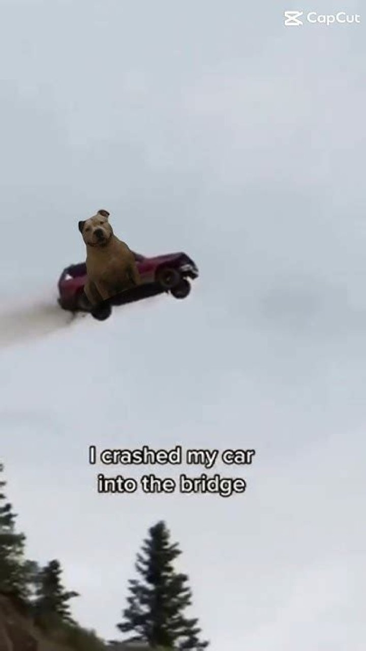 Crashed my car into a bridge lyrics