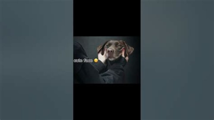 Cute face slim waist lyrics