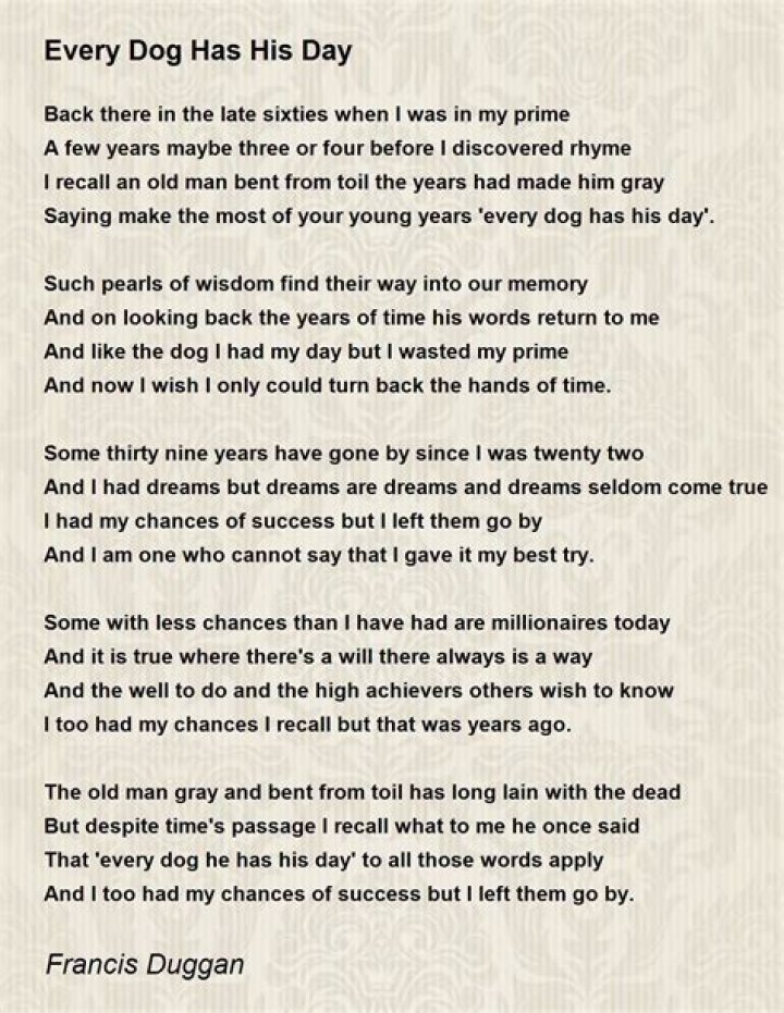 Every dog has his day lyrics