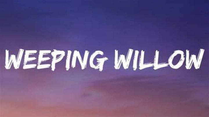 Grow old with me weeping willows lyrics