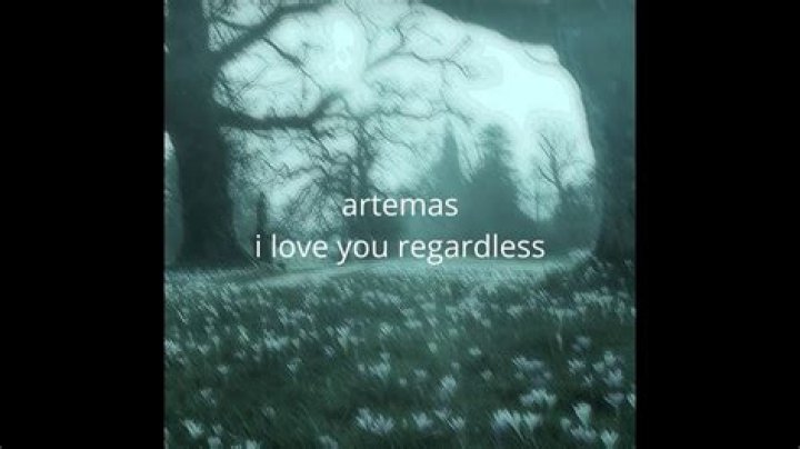 I love you regardless lyrics