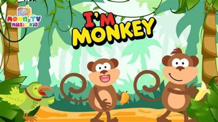 I’m a monkey lyrics