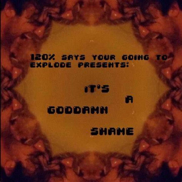 It’s a goddamn shame lyrics