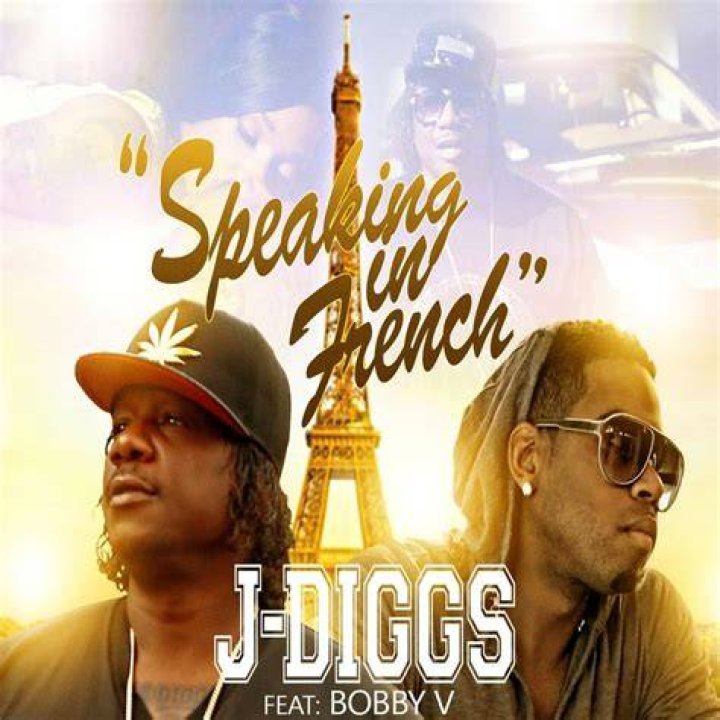 J diggs shoes and purses lyrics
