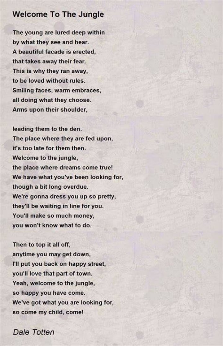Jungle Lyrics Translation