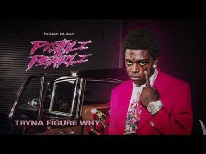Kodak black tryna figure lyrics