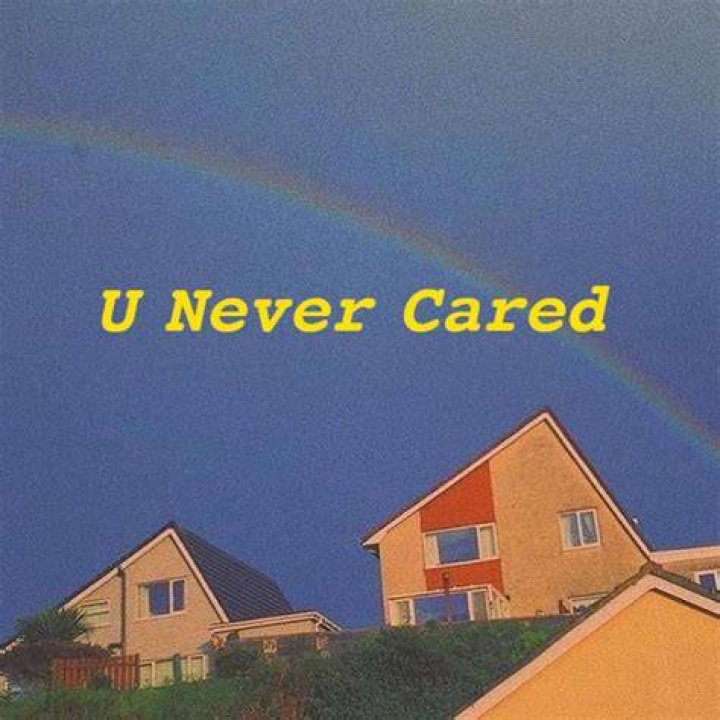 Never cared lyrics