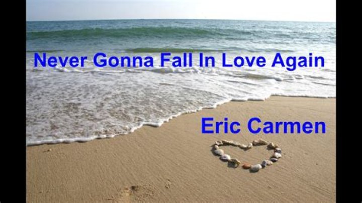 Never gonna fall in love again . lyrics