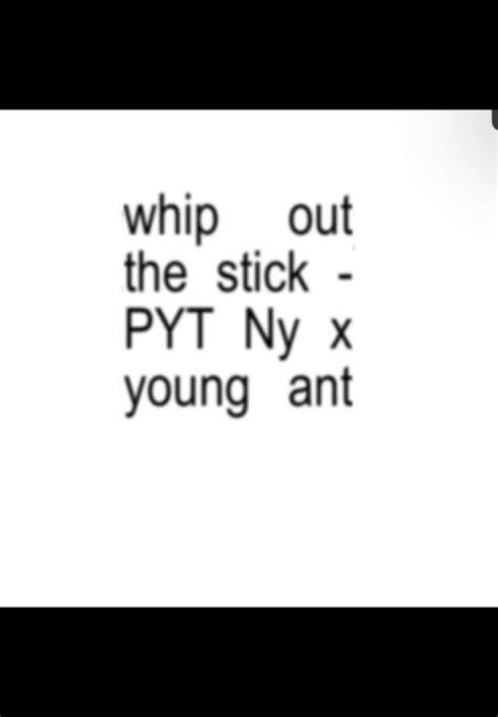 Pyt.ny pull out the stick lyrics