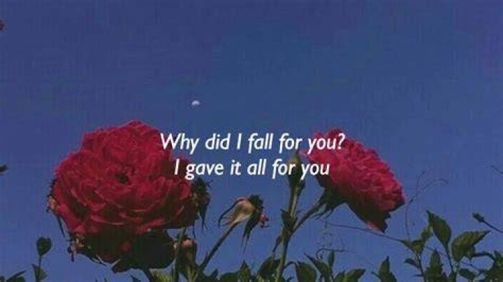 Roses jucie wrld lyrics