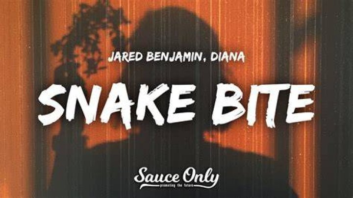 Snake bite lyrics