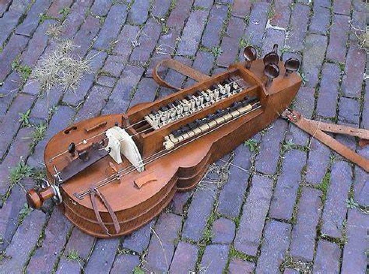 Used Hurdy Gurdy