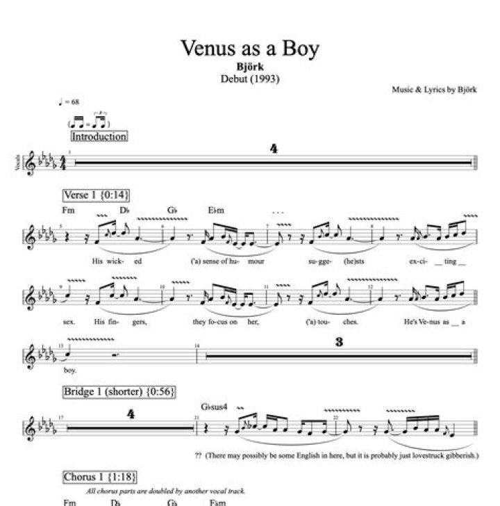 Venus as a boy lyrics